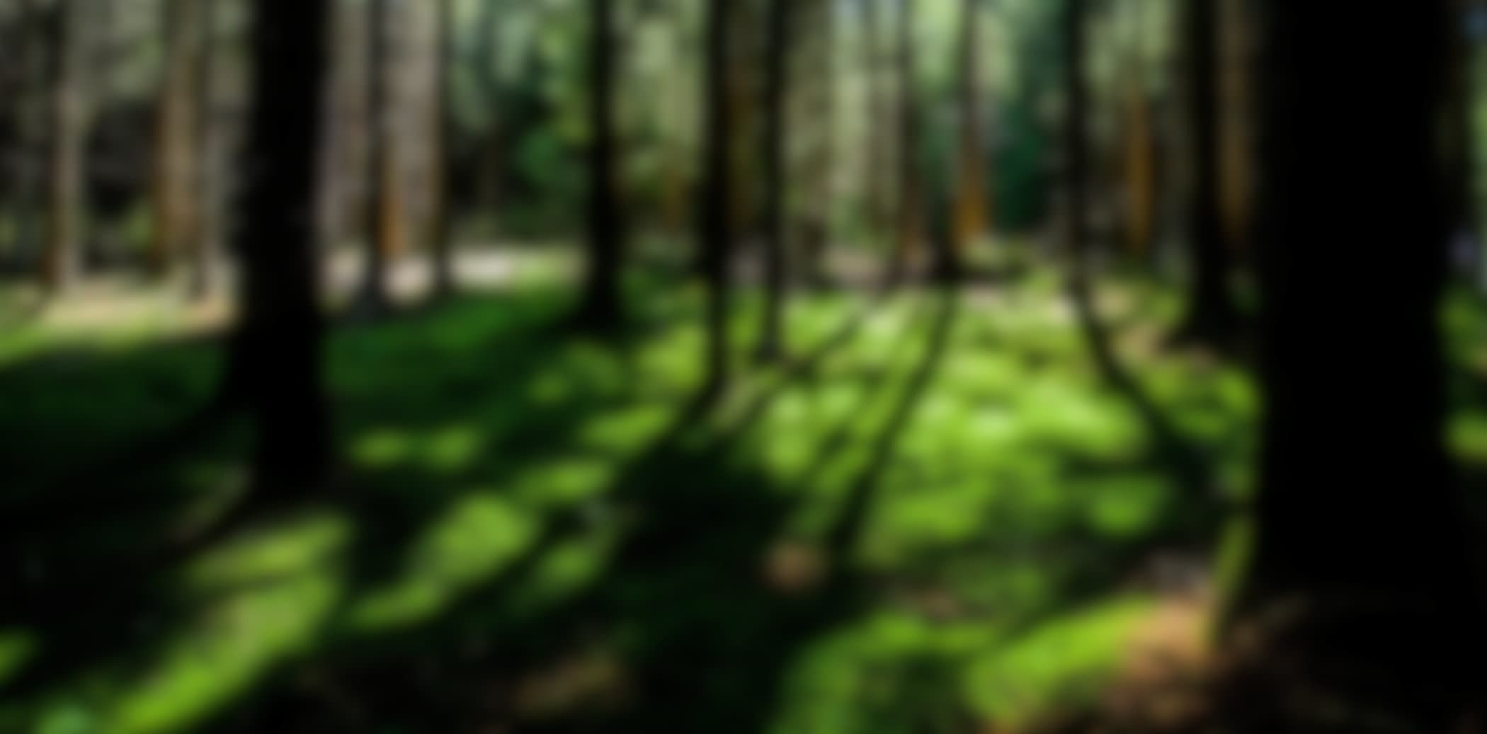 bg-slider1