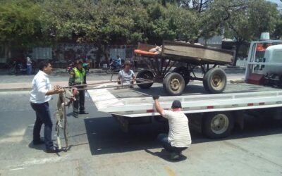 Alcaldía Distrital Ha Decomisado 24 Vehículos Que Transportan Y Arrojan Escombros En Santa Marta