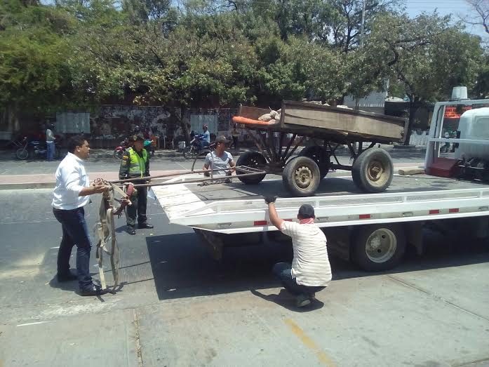 Alcaldía Distrital Ha Decomisado 24 Vehículos Que Transportan Y Arrojan Escombros En Santa Marta