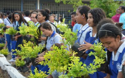 Distrito Inicia Programa De Siembra De 12 Mil Árboles “Plantemos Por El Buen Vivir”