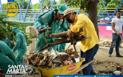 Más De 15 Toneladas De Basura Fueron Extraídas De Forma Manual Del Río Manzanares