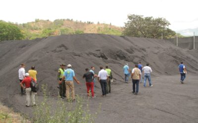 Dadma suspende bodega por almacenamiento ilegal de 7.000 toneladas de carbón mineral