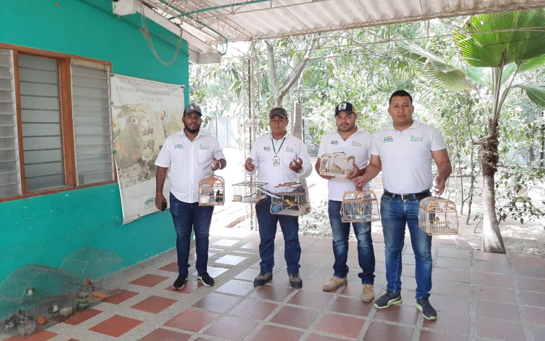 ¡Animalitos silvestres no son mascotas! Dadsa y Policía recuperan aves endémicas que estaban en confinamiento