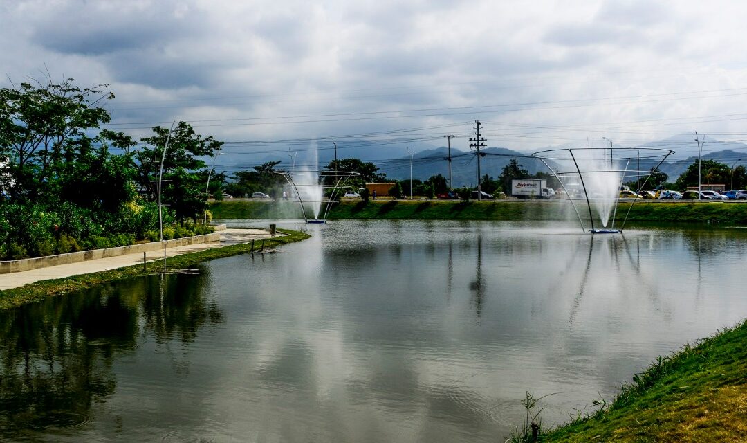 Estudio arroja que muerte de peces en Parque del Agua obedece a un ciclo natural en época de lluvias