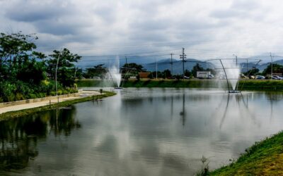 Estudio arroja que muerte de peces en Parque del Agua obedece a un ciclo natural en época de lluvias