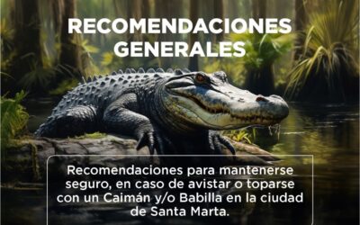 Recomendaciones de Seguridad en Caso de Avistamiento de Caimanes y/o Babillas en Santa Marta