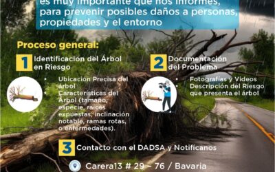 DADSA lanza campaña de prevención ante riesgos de caída de árboles en temporada de lluvias