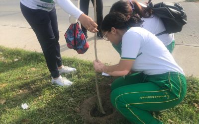 DADSA Sigue Apoyando a Las Instituciones Con Nuestro Servicio de Educación Ambiental